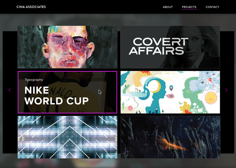 Cina Associates Project Selection Page